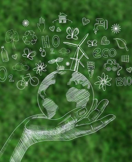 Conheça nossas alternativas sustentáveis para plásticos